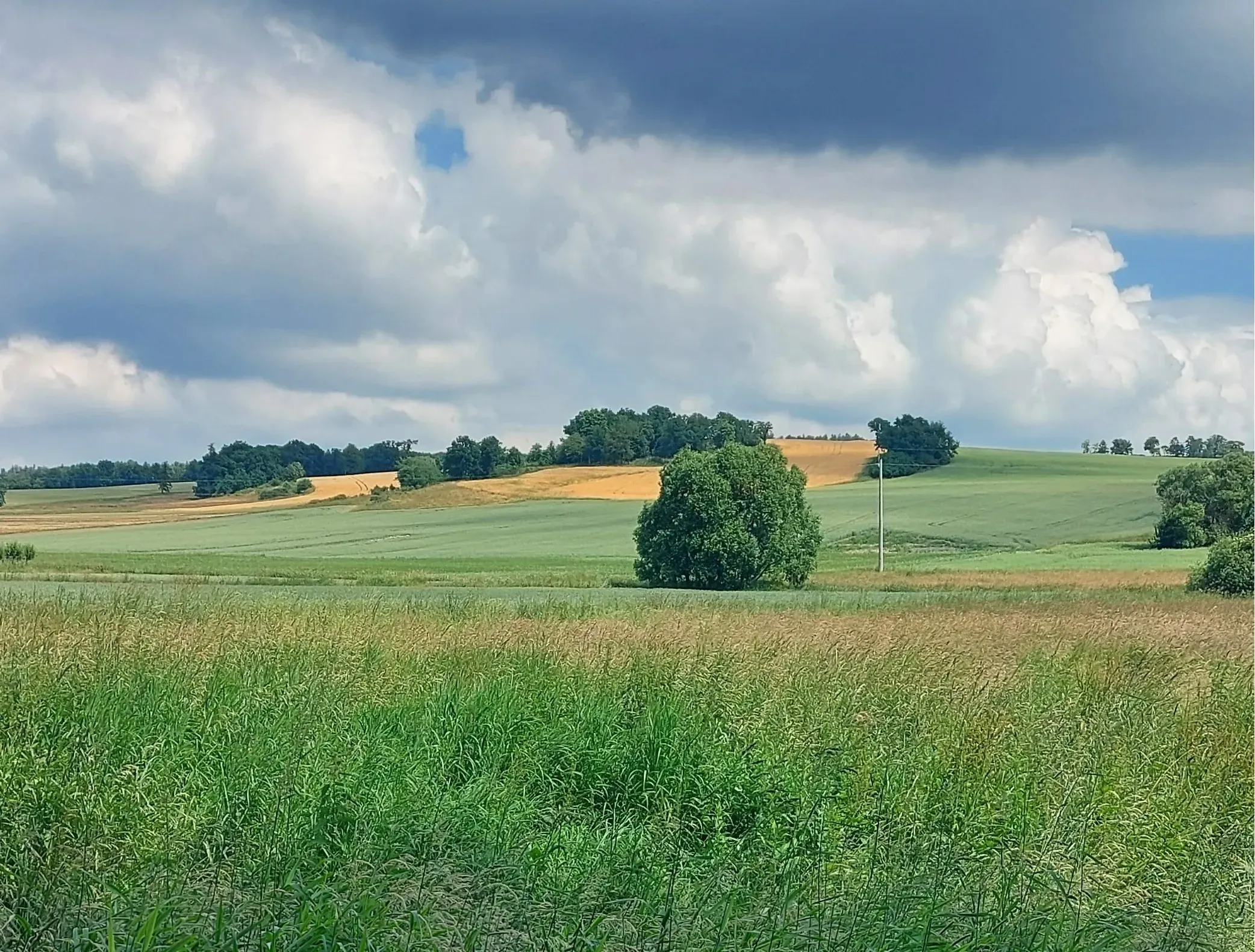 Prawo pierwokupu KOWR