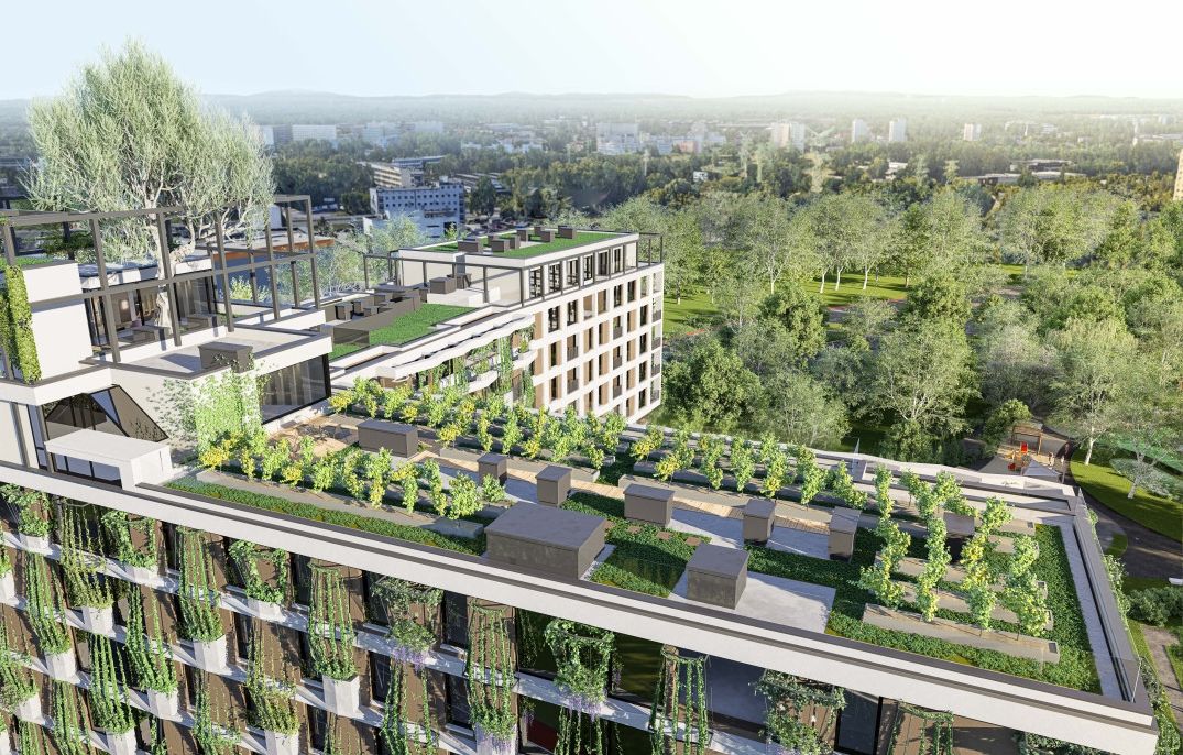 Semiramis - zdjęcie 1