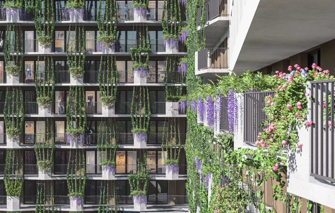 Semiramis - zdjęcie 4