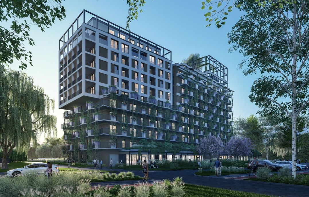 Semiramis - zdjęcie 5