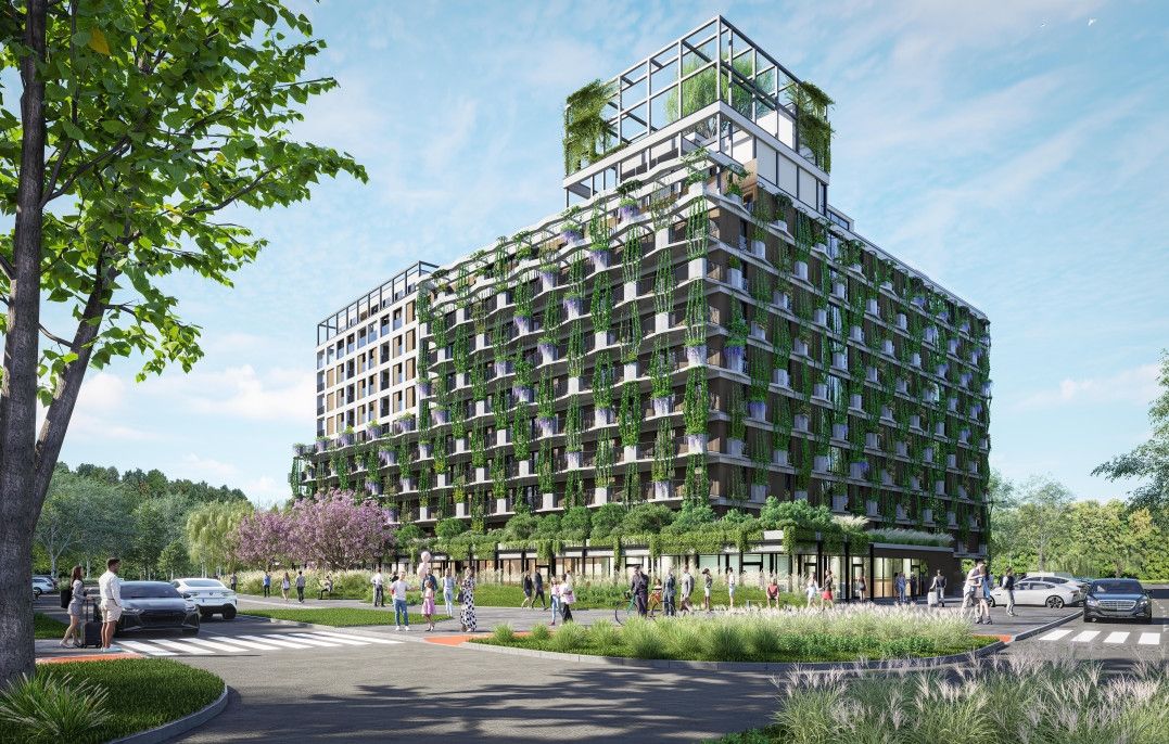 Semiramis - zdjęcie 11