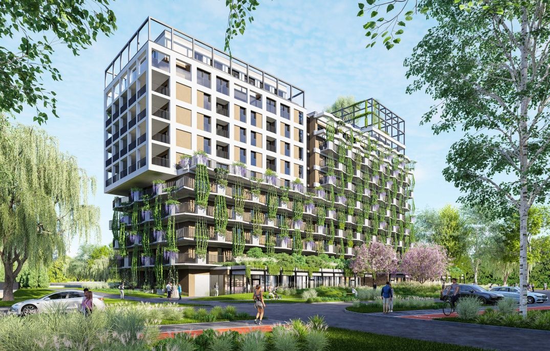 Semiramis - zdjęcie 12